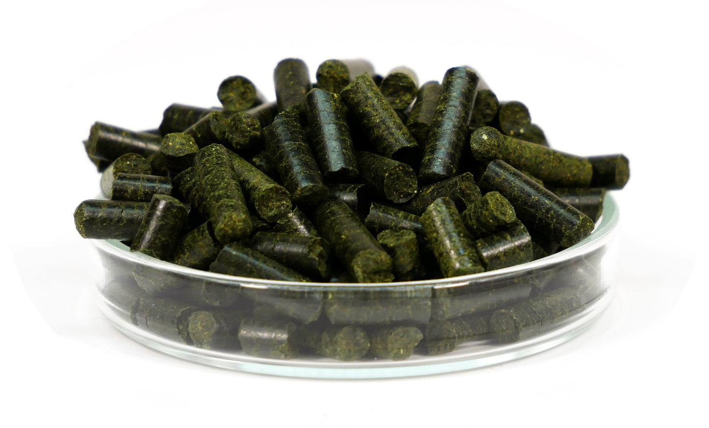 GARNELEN4YOU® Barley Grass Sticks